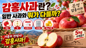 감홍사과란? 맛·수확시기·보관법과 문경 감홍사과 5kg 가격 썸네일