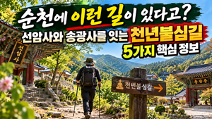 순천에 이런 길이 있다고? 선암사와 송광사를 잇는 천년불심길 5가지 핵심 정보 썸네일