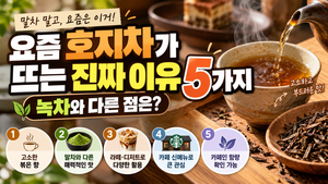 요즘 호지차가 뜨는 진짜 이유 5가지|녹차와 다른 점은? 썸네일